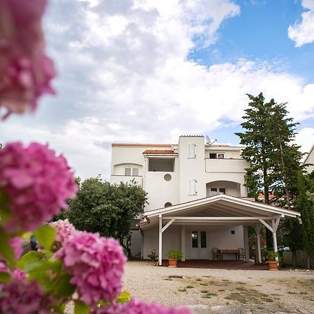 Apartments Ostrea - Mimoza Novalja Kültér fotó